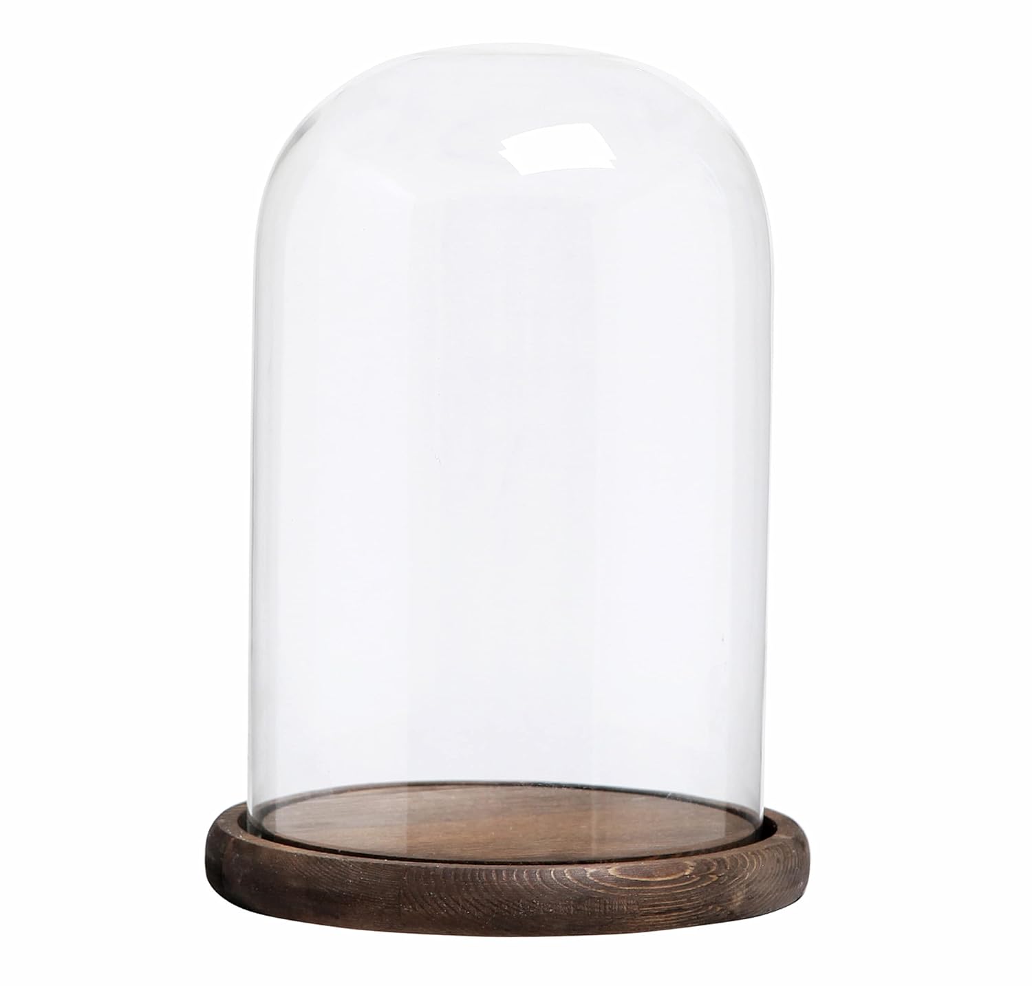 Glass Cloche Display Dome